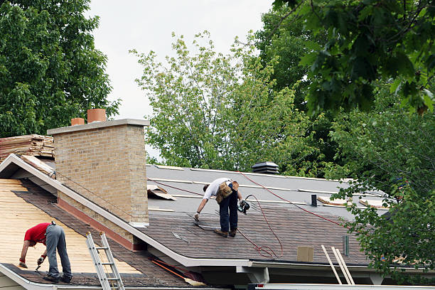 Best Roof Gutter Cleaning  in Highlands, CA